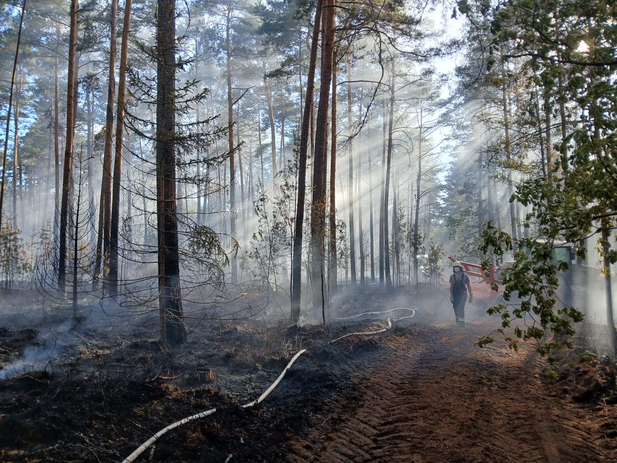 Vegetationsbrand bei Allersberg