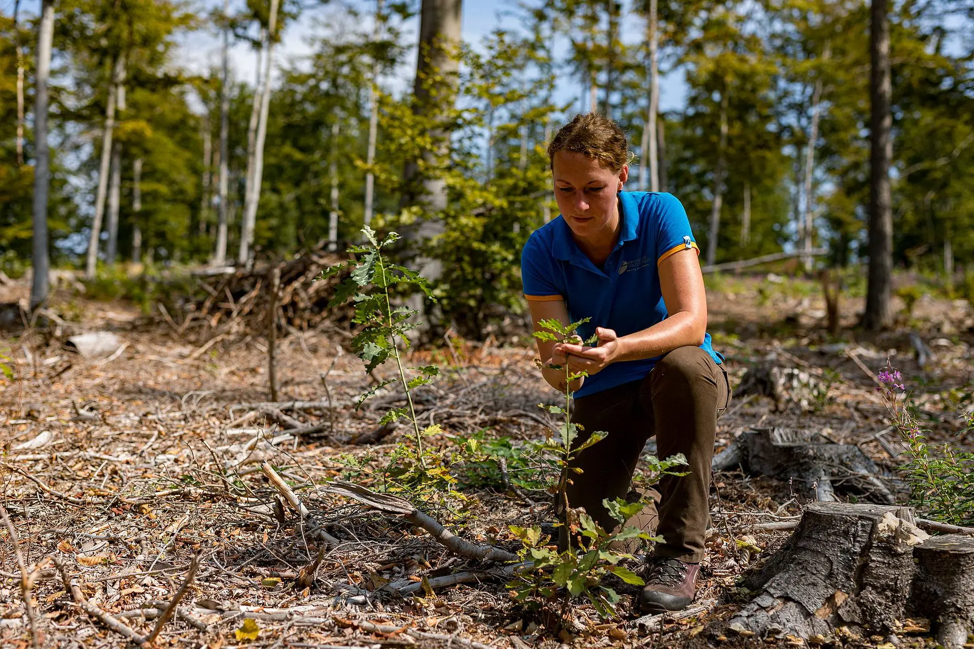 Klimawandel bekämpfen