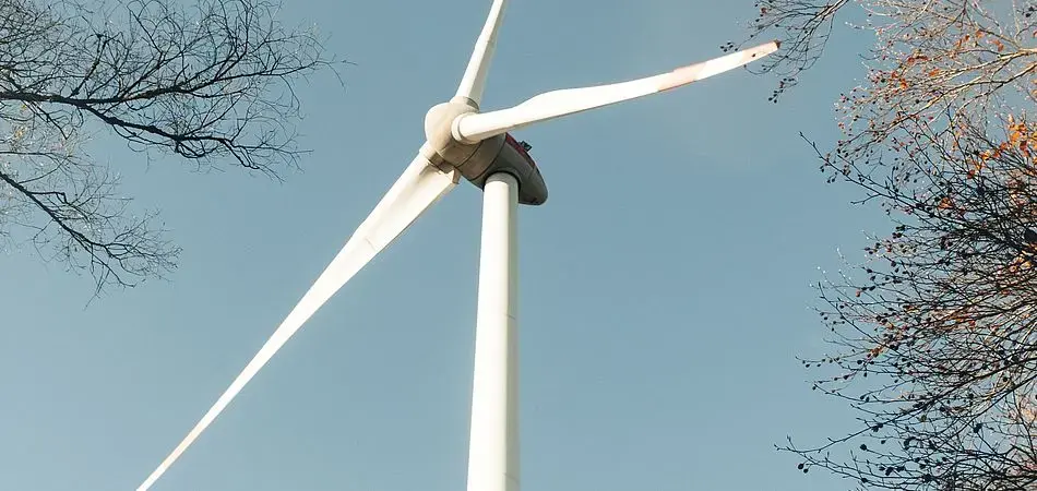 Windkraftanlage zwischen kahlen Ästen unter blauem Himmel.