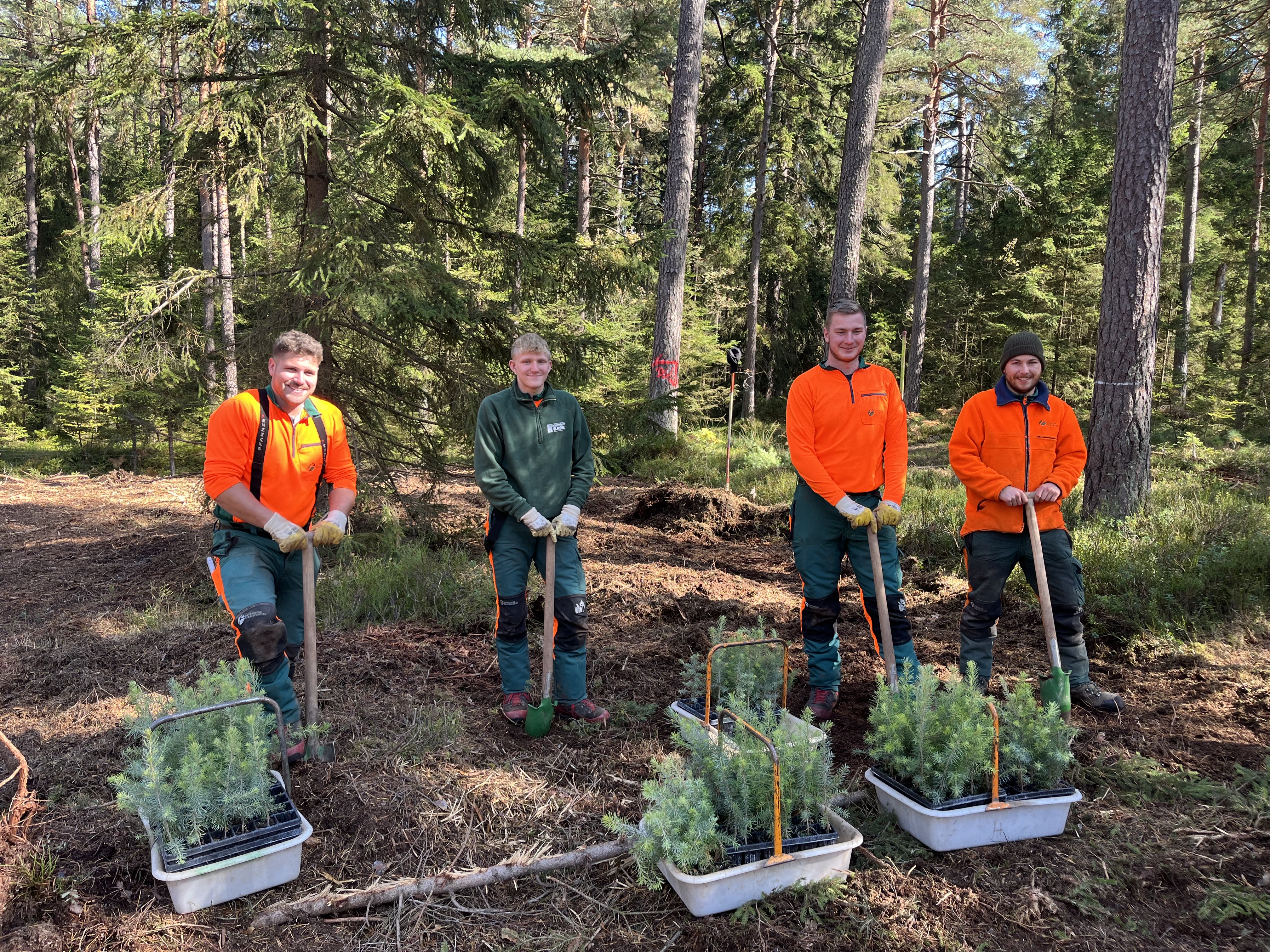 3 neue Forstazubis und ihr Ausbilder im Wald