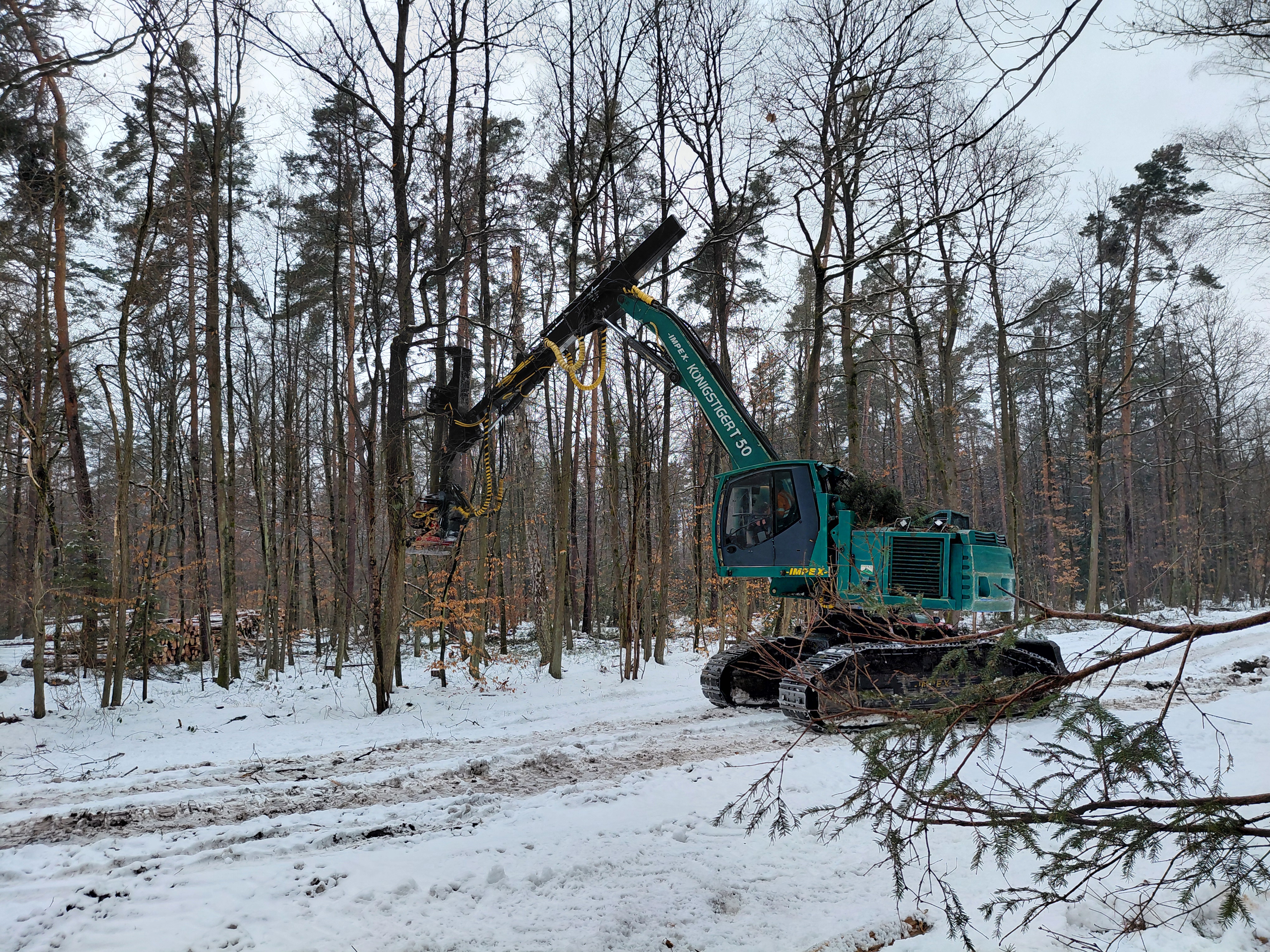 Impex Königstiger Harvester