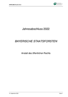 Jahresabschluss 2022
