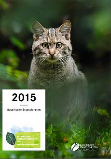 Jahresbericht 2015