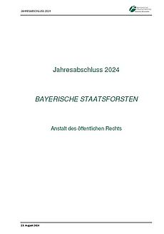 Jahresbericht 2024