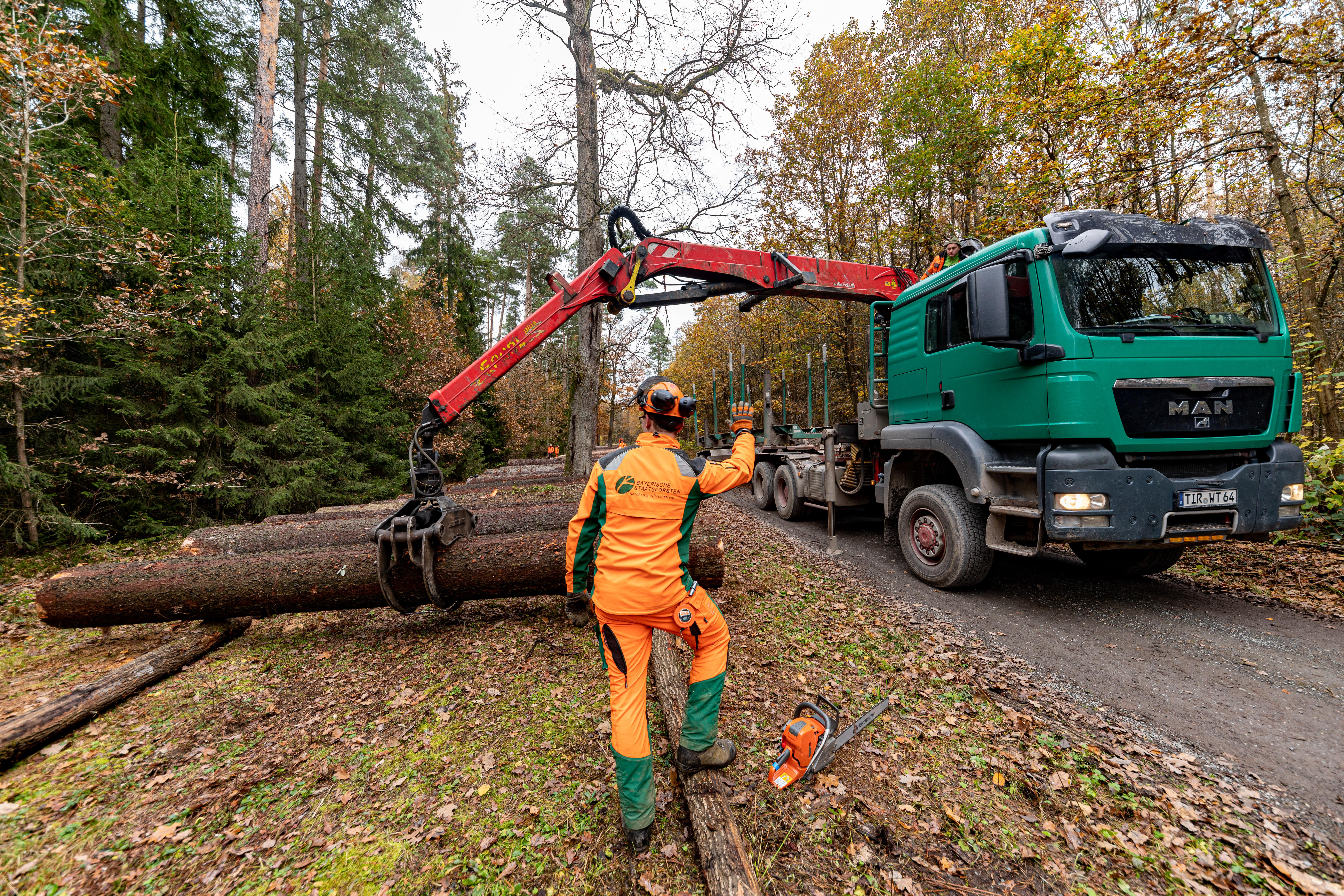 Rundholztransporte – Verlässlich, flexibel und nachhaltig