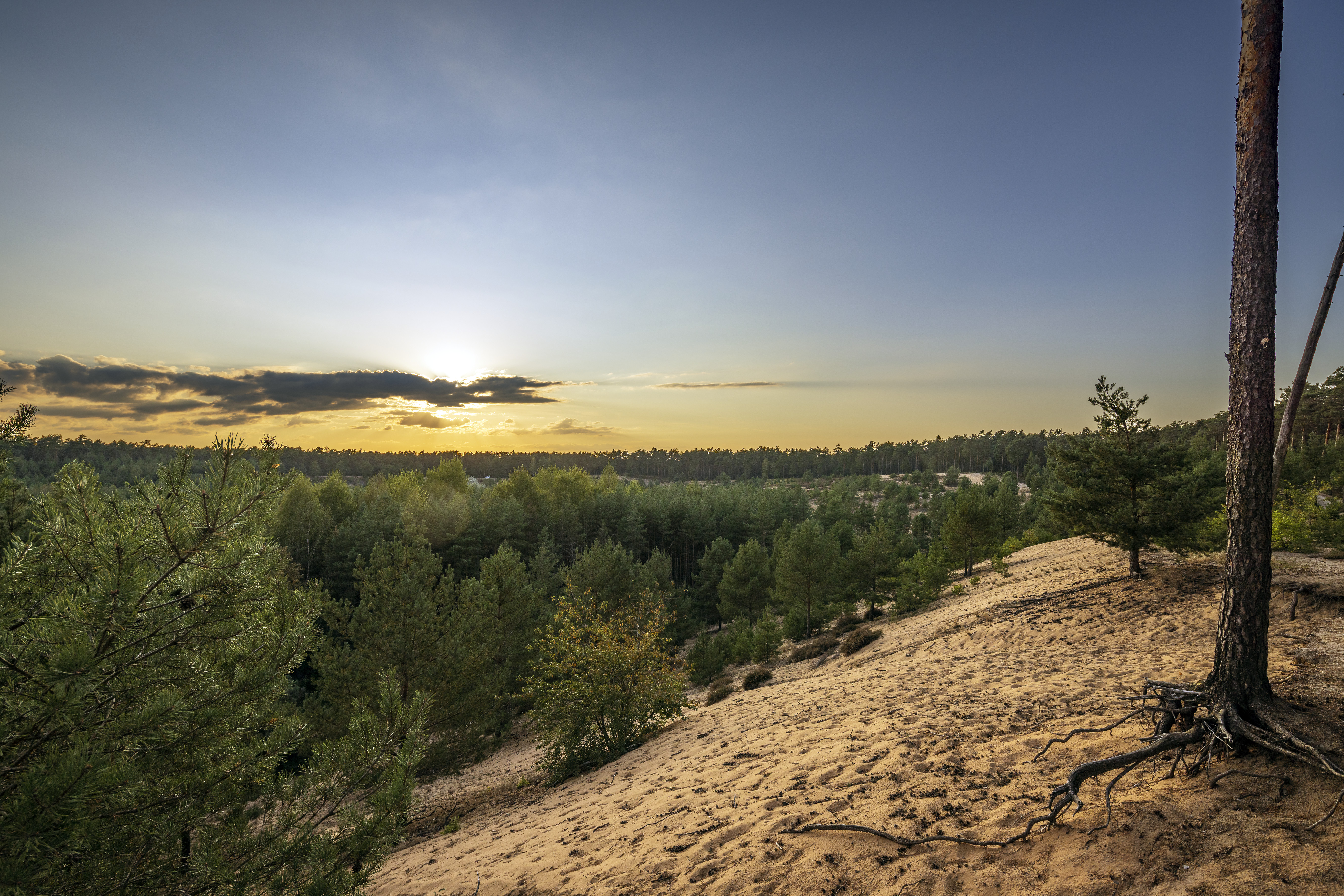 Sandbrenne