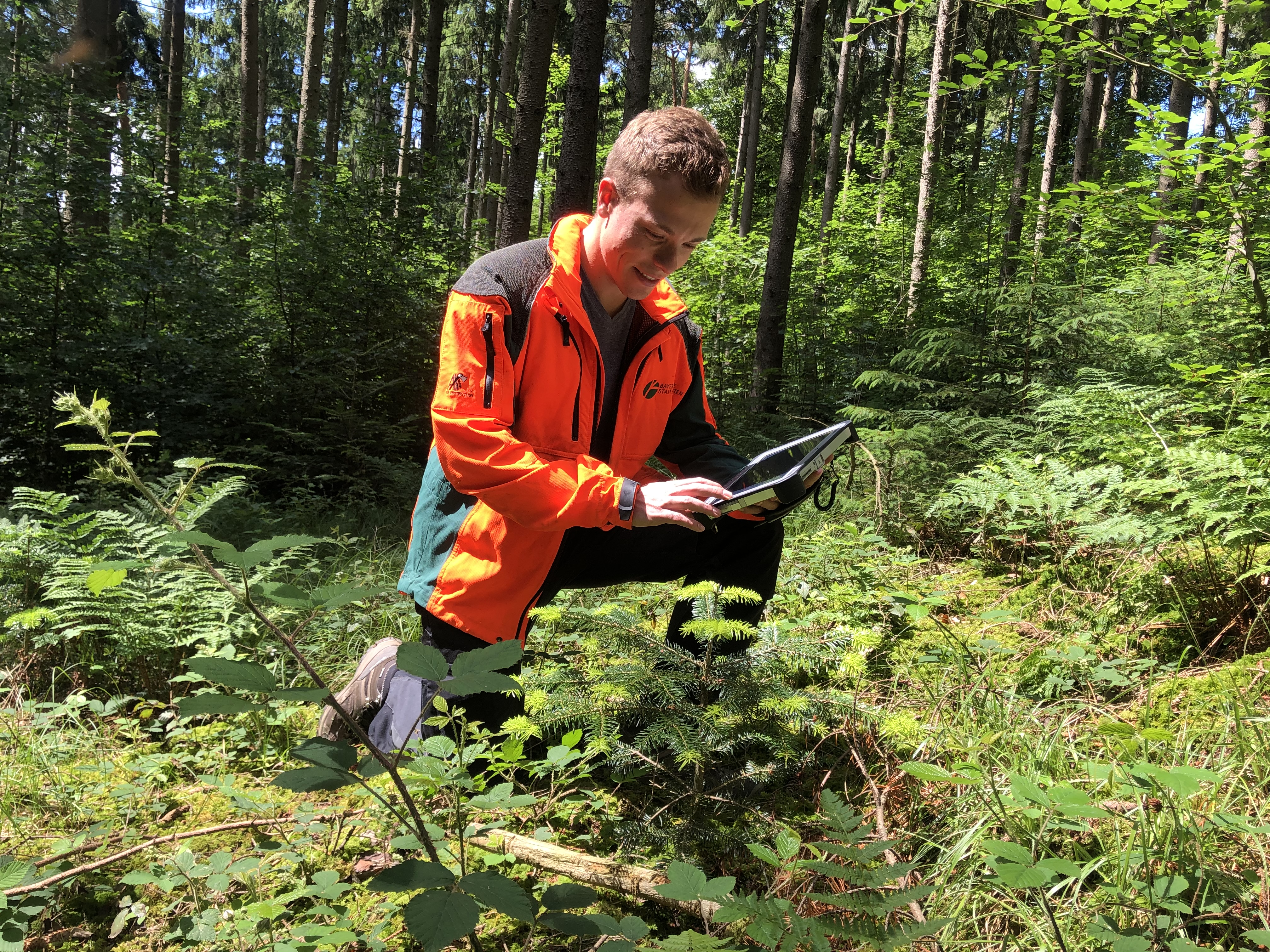 Revierleitung im Wald