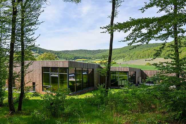 Haus im Wald