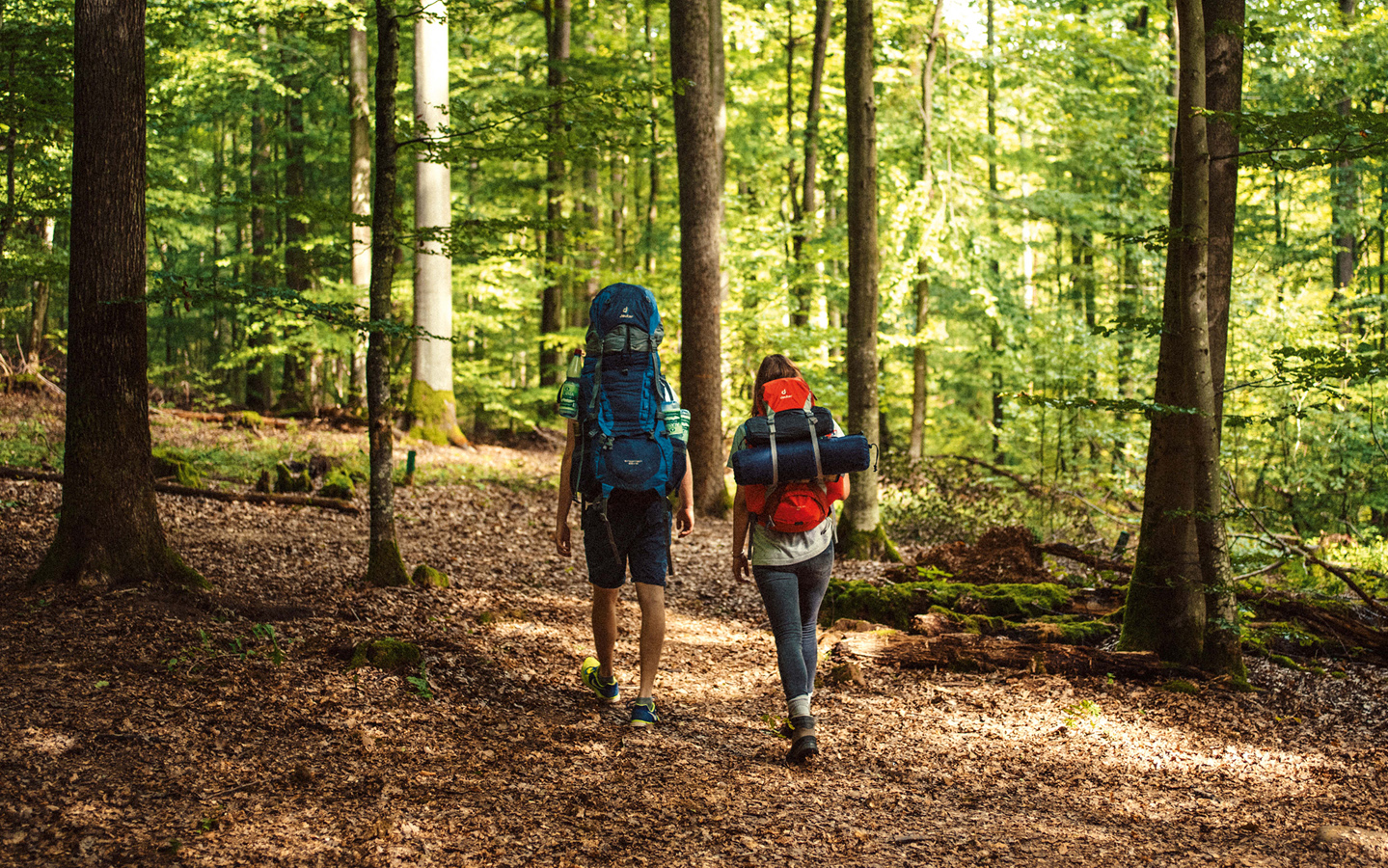Wanderer mit Rucksäcken im Spessart