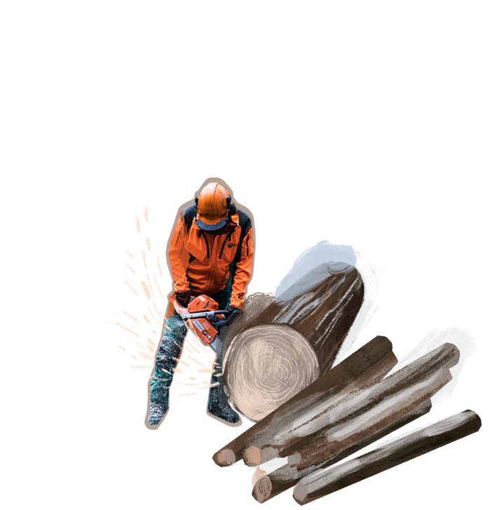 Holz sägen Illustration