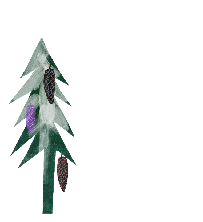 Tannenbaum Illustration