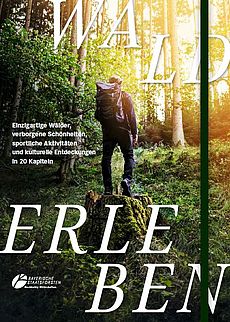 Wald erleben