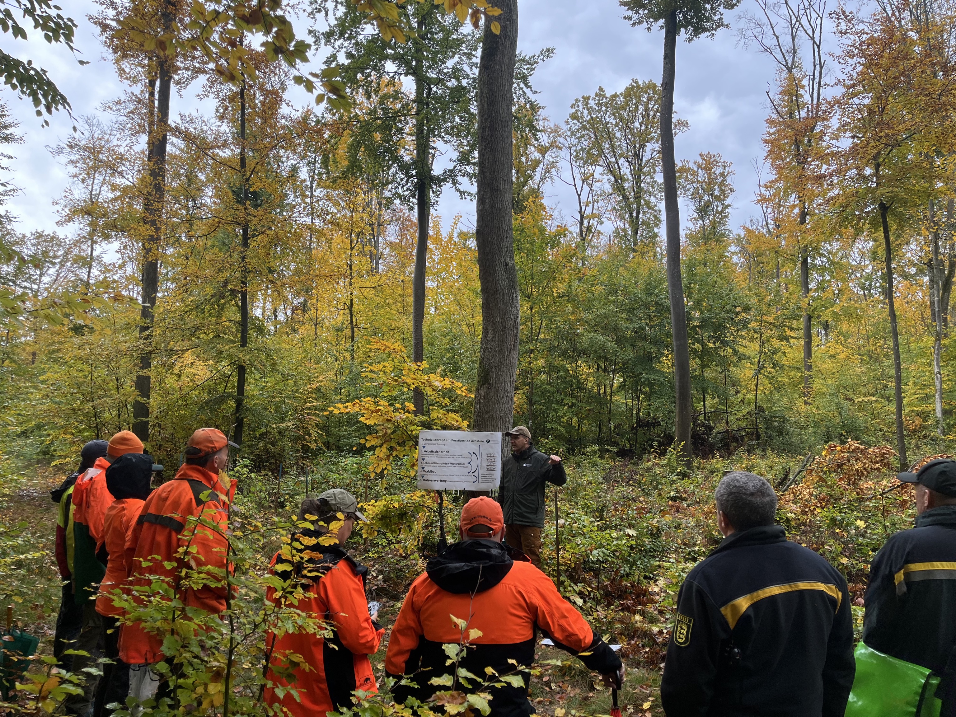 Bundestreffen der Waldbautrainer