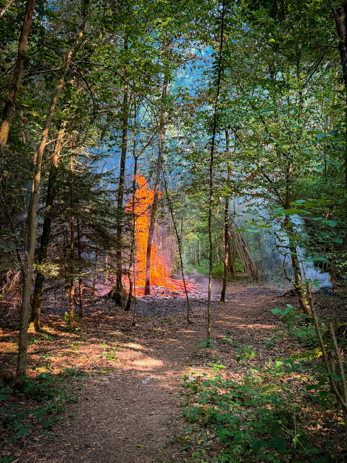 Waldbrand