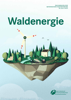 Waldenergie