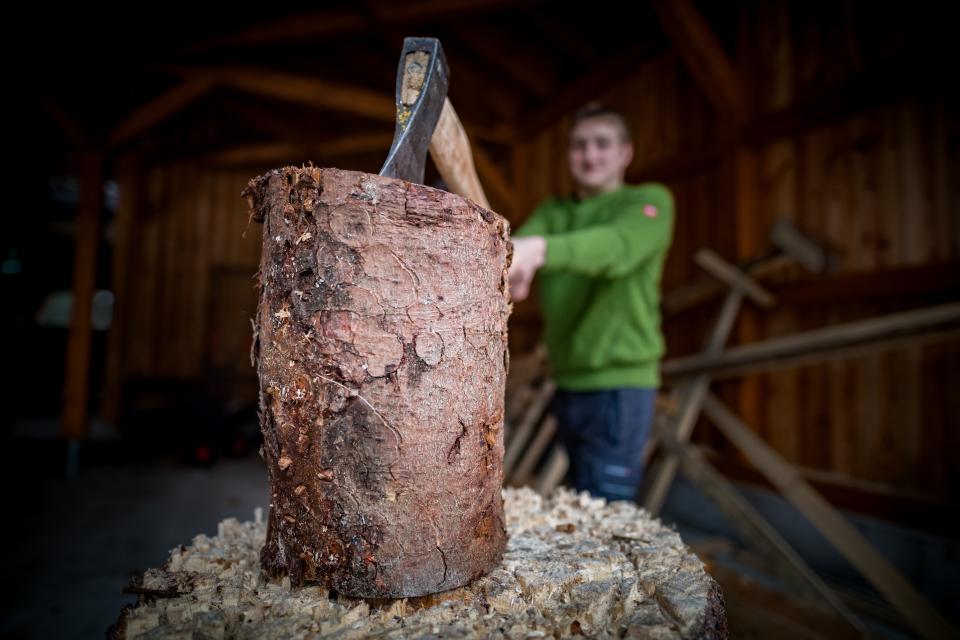 Brennholz im Staatswald kaufen – ideal für private Nutzung und nachhaltige Wärmeversorgung direkt aus dem Wald.