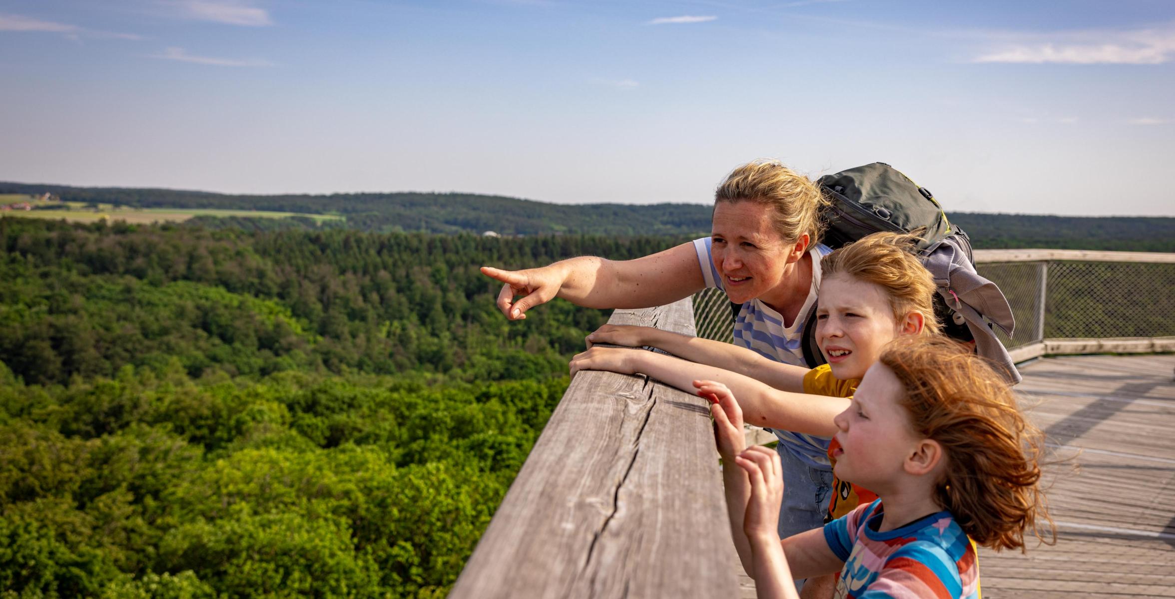 Familie auf der Plattform des Baumwipfelpfads