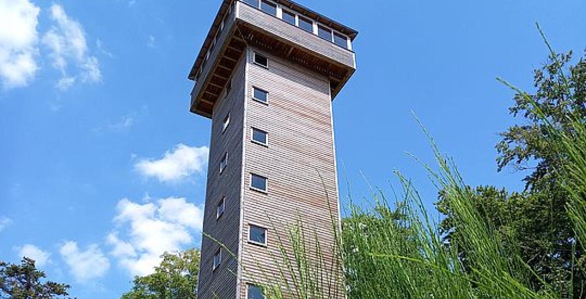 Turm im gruenen Gras