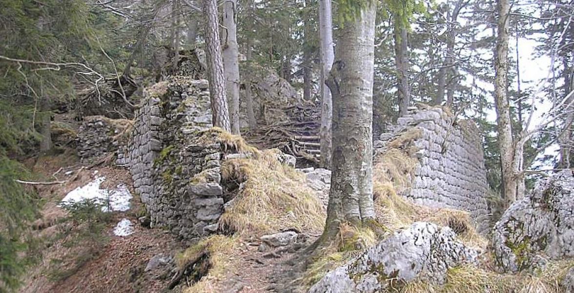 Burgruine