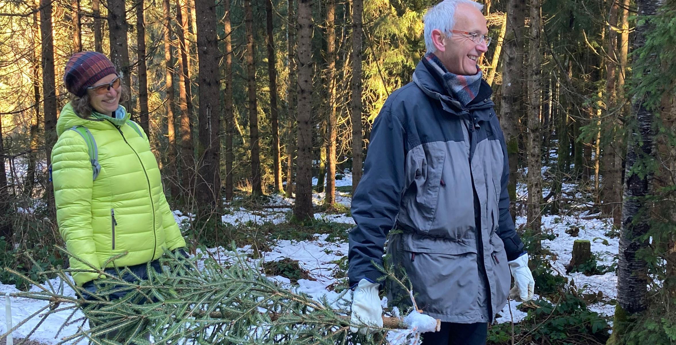 2 Menschen tragen einen Christbaum