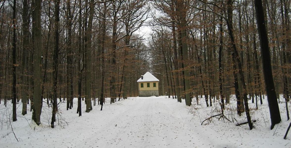 Haus im Wald mit Schnee