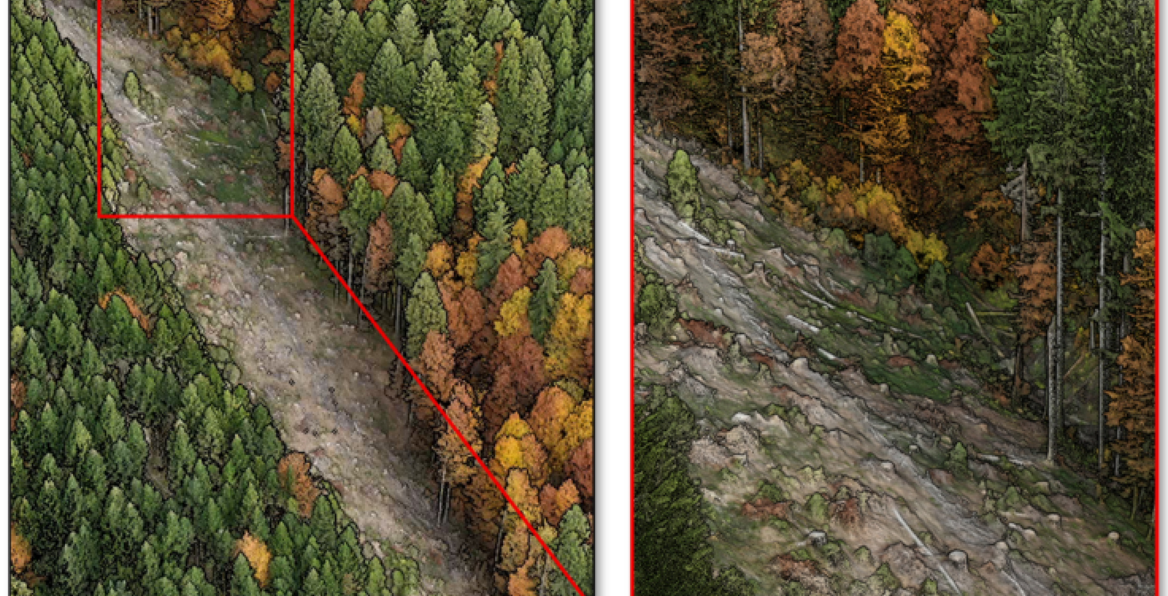 3D-Punktwolke aus Laserscandaten der Drohne: Die detaillierte Gelände- und Vegetationsdarstellung dient als Grundlage für die Entwicklung einer KI zur automatisierten Aufforstung im steilen Bergwald. (Abbildung: Hochschule München)
