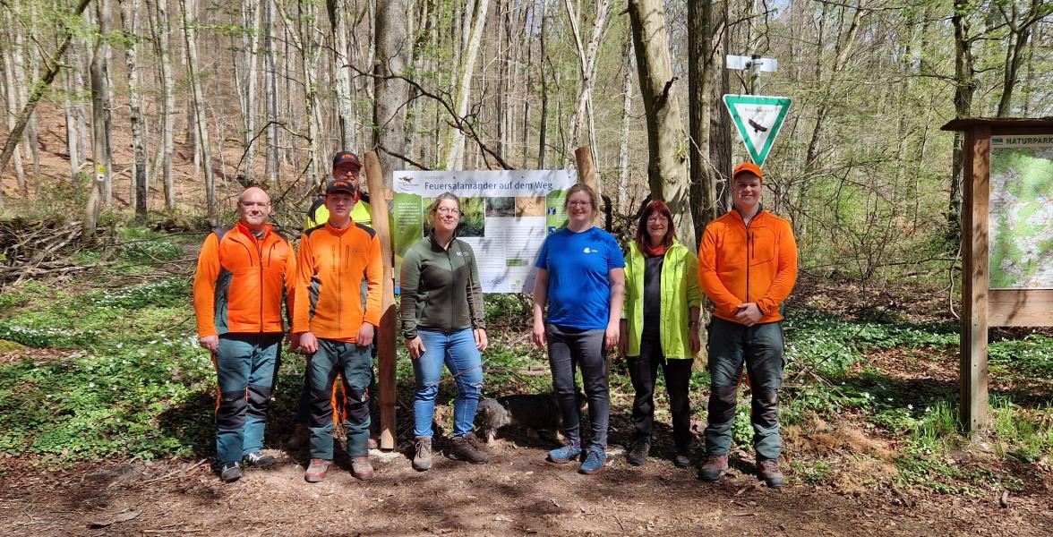 Neue Infotafeln klären Waldbesucher über Feuersalamanderpest auf