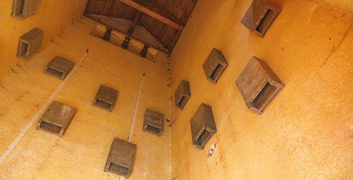 Ein Blick in die ehemalige Trafostation: An den Innenwänden des neuen Fledermausquartiers sind 10 neue Fledermauskästen angebracht.