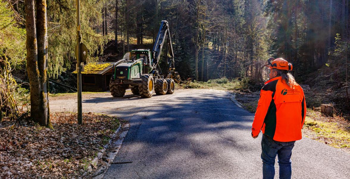 Peter Lehner, Forstwirt bei den Bayerischen Staatsforsten, sichert die Holzfällung im Kropfbachtal bei Warmensteinach ab.