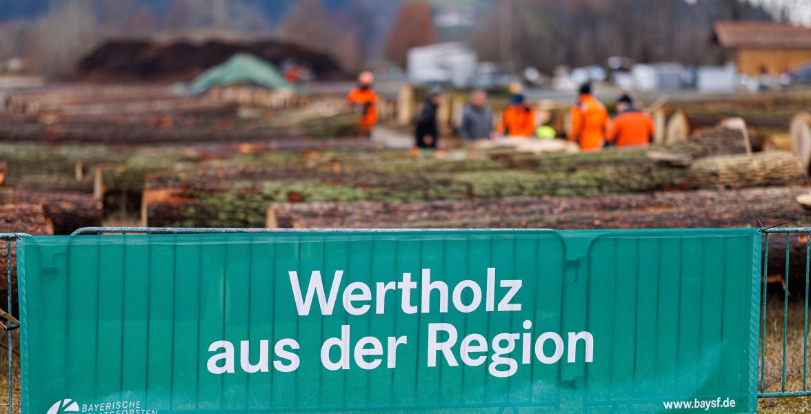 Banner mit der Aufschrift "Wertholz aus der Region"