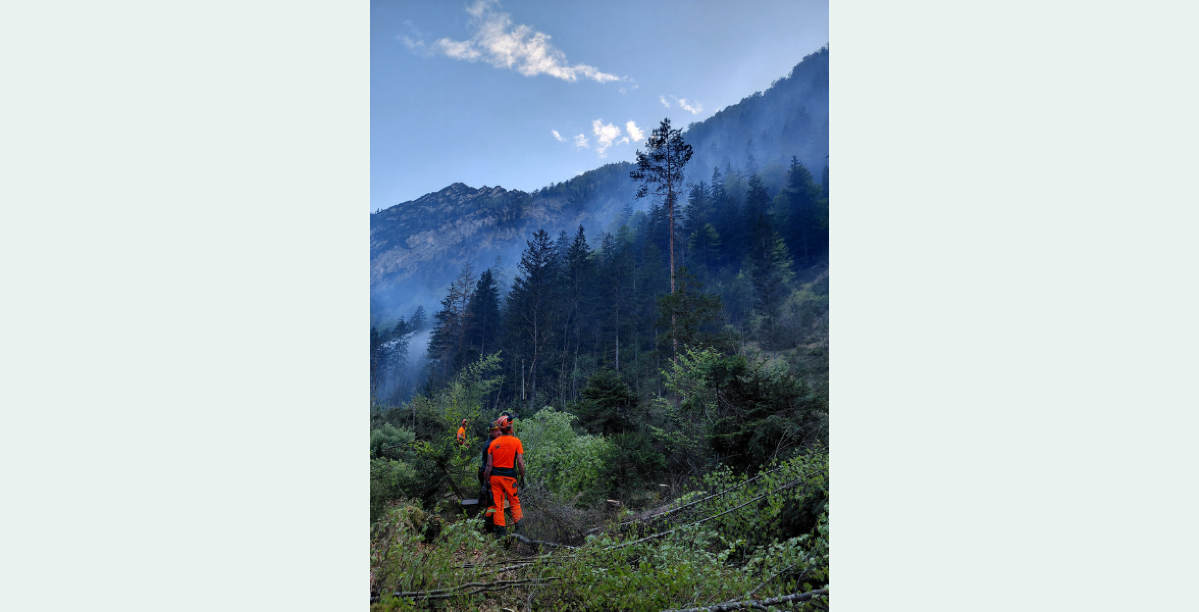 Forstwirt blick auf Berg, wo Waldbrand ist und Rauch aufsteigt
