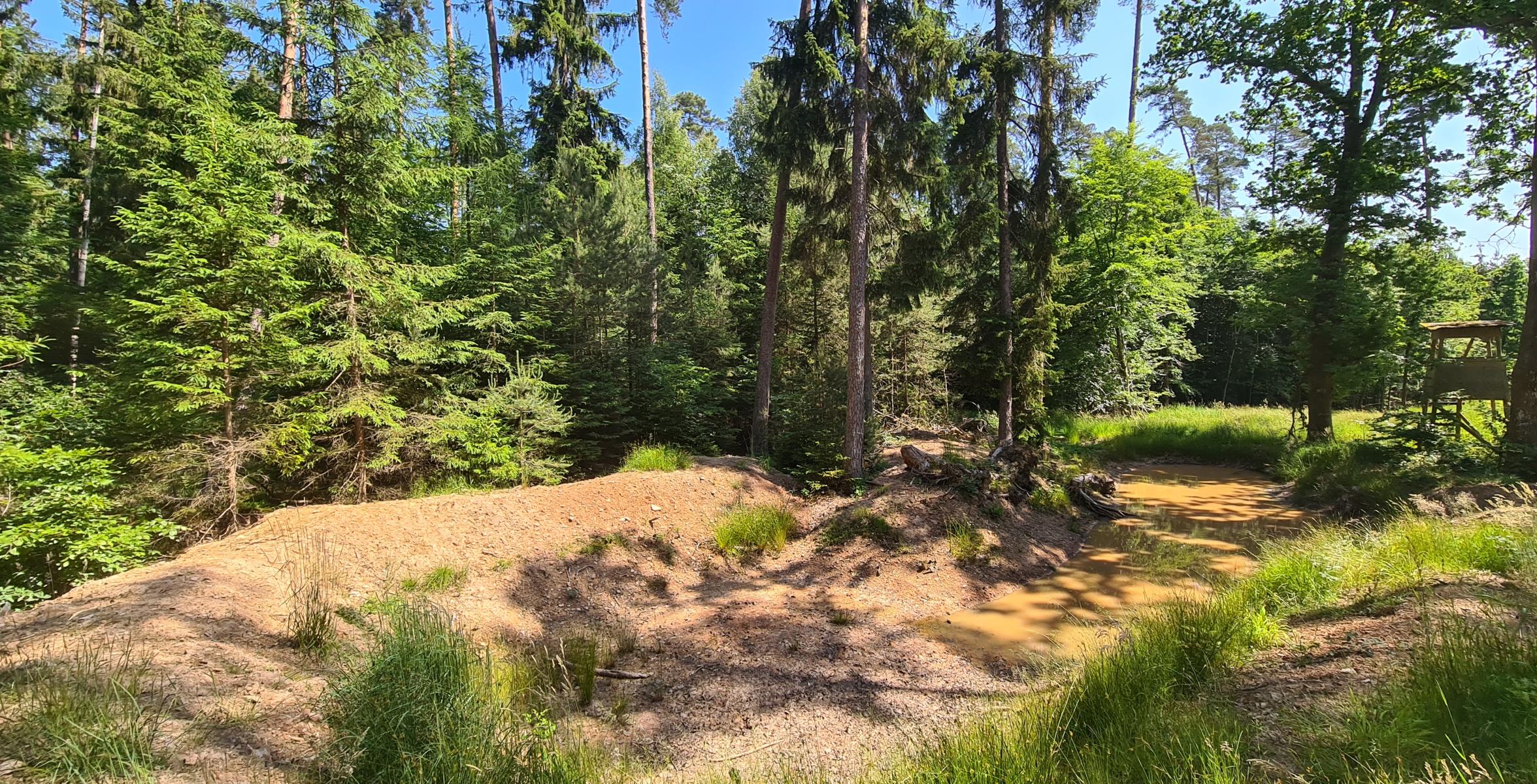 Dreilärchen