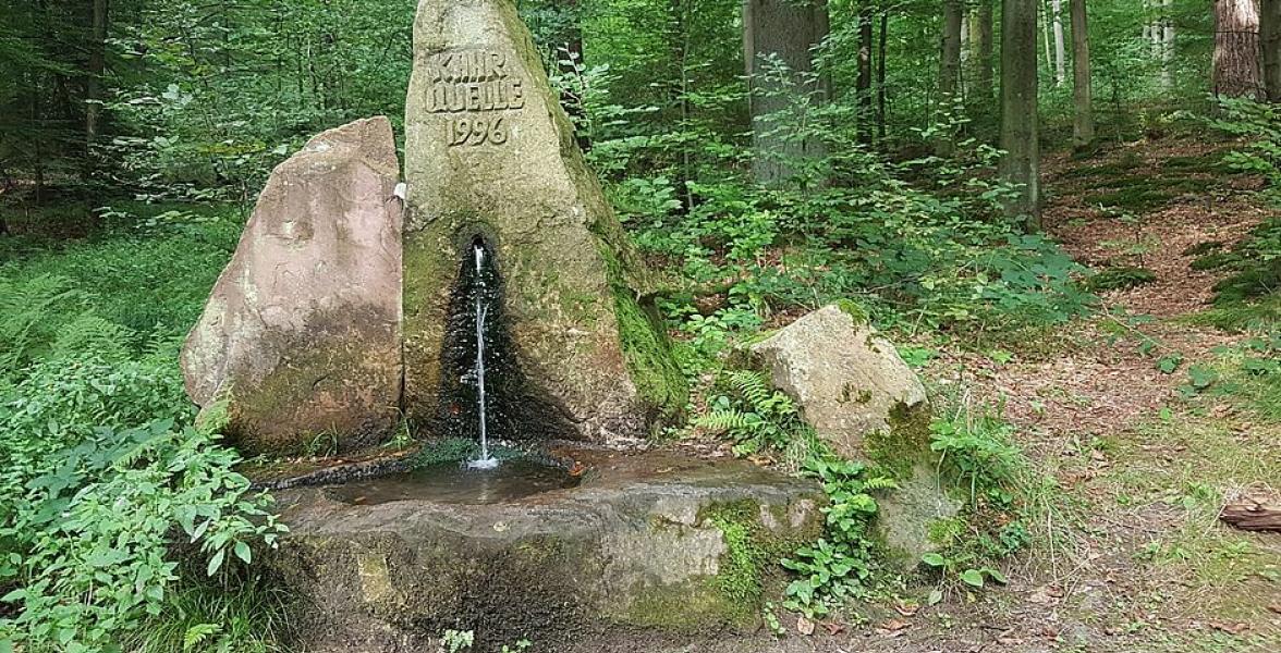 Pfelle im Gestein