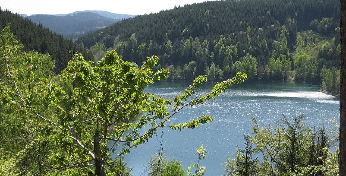 See umringt von Bäumen