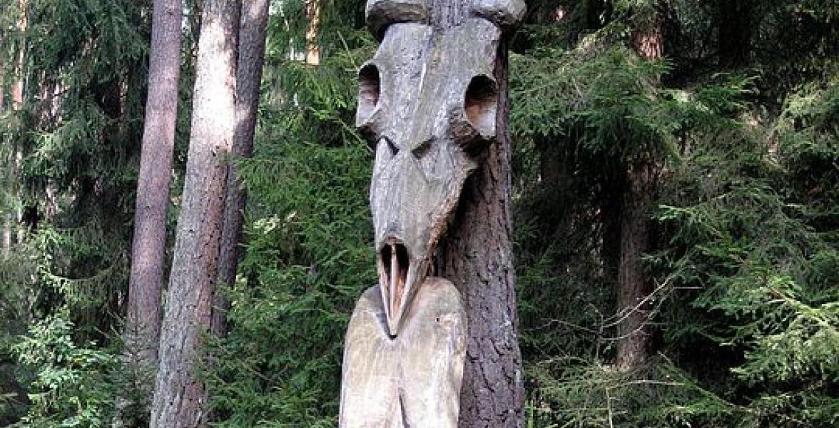Schädel auf Baumstamm