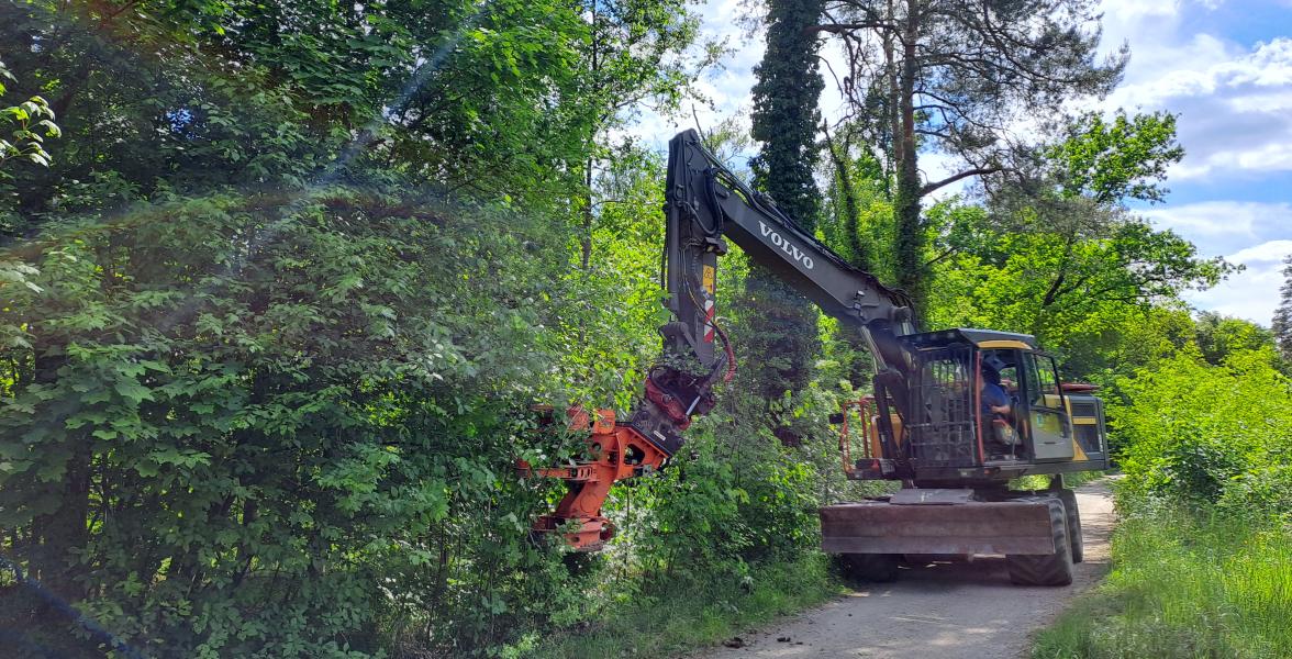 Ein Zwickbagger macht Wege im Tennenloher Forst frei.