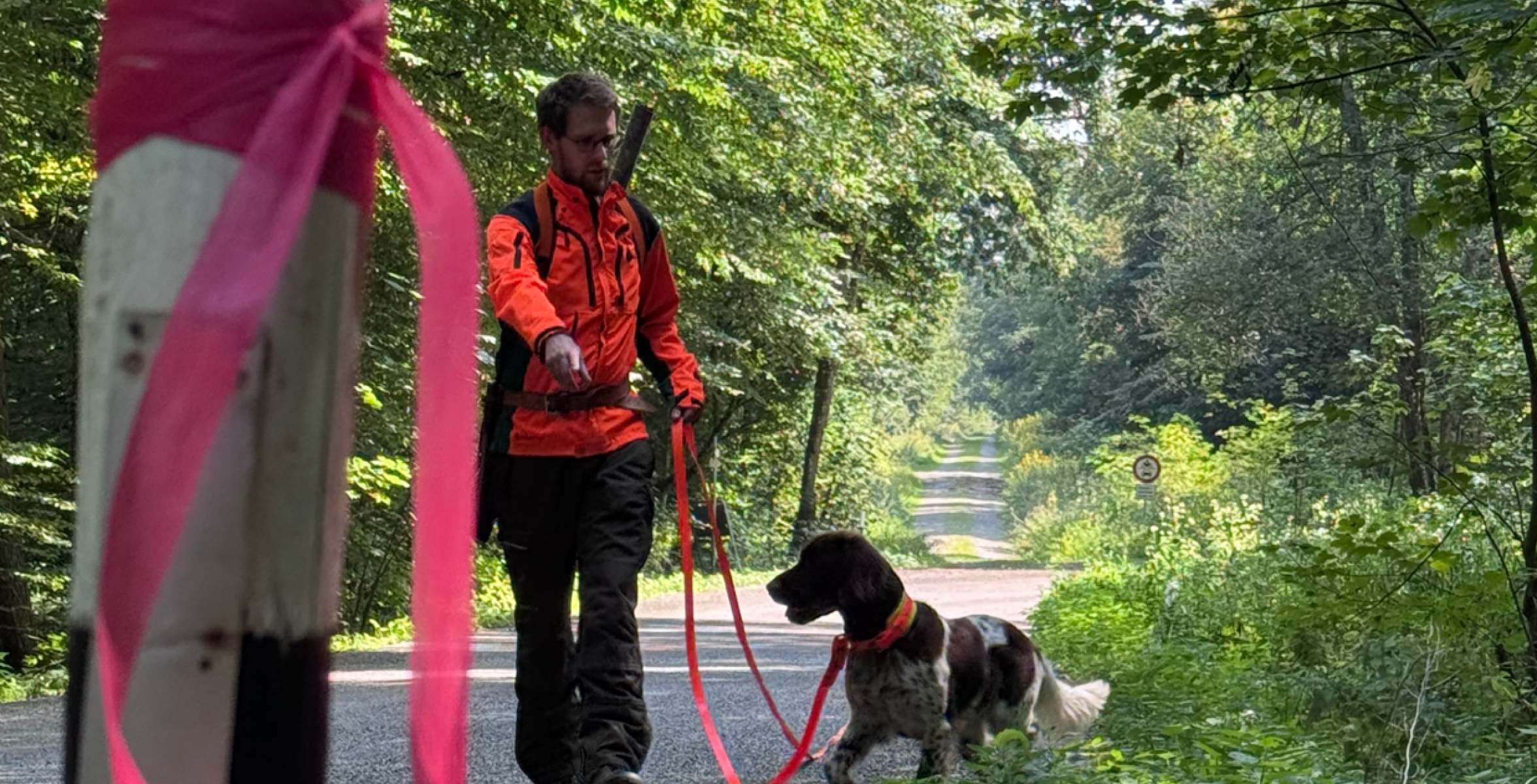 Nachsuche Spürhund mit Förster