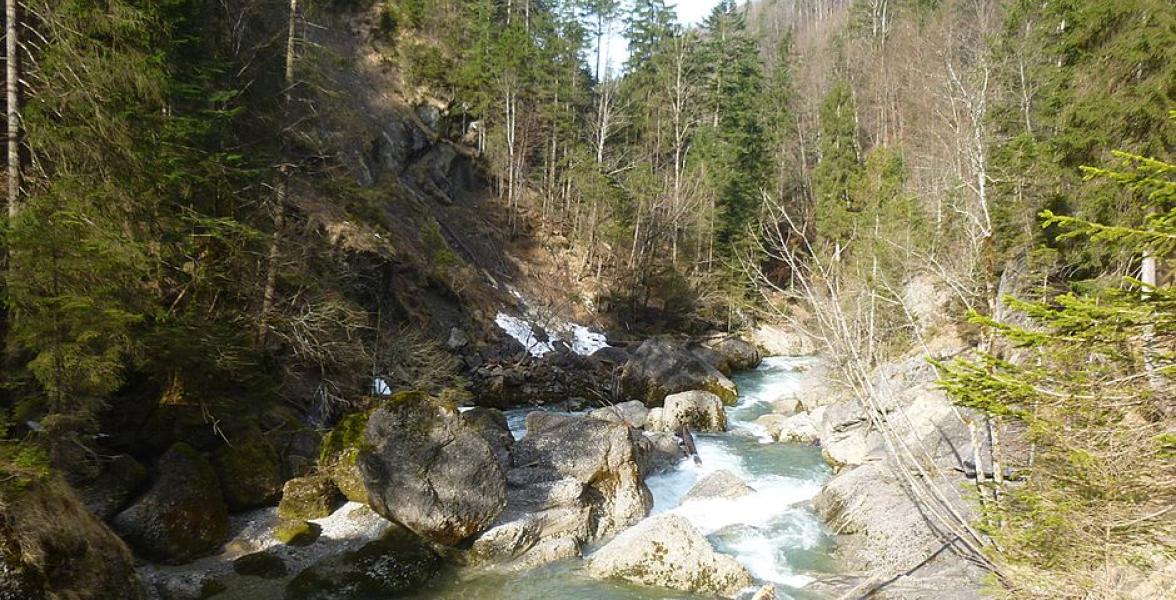 Tal mit See und Bäumen