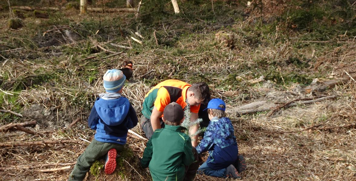 Kinder beim Pflanzen