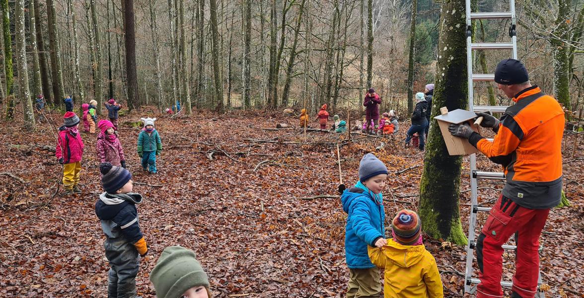 Kinder des Waldkindergartens helfen beim Pflanzen