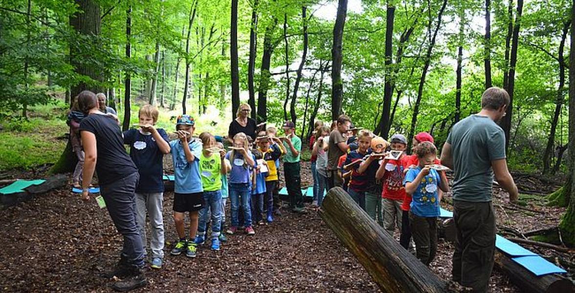 Menschen im Wald