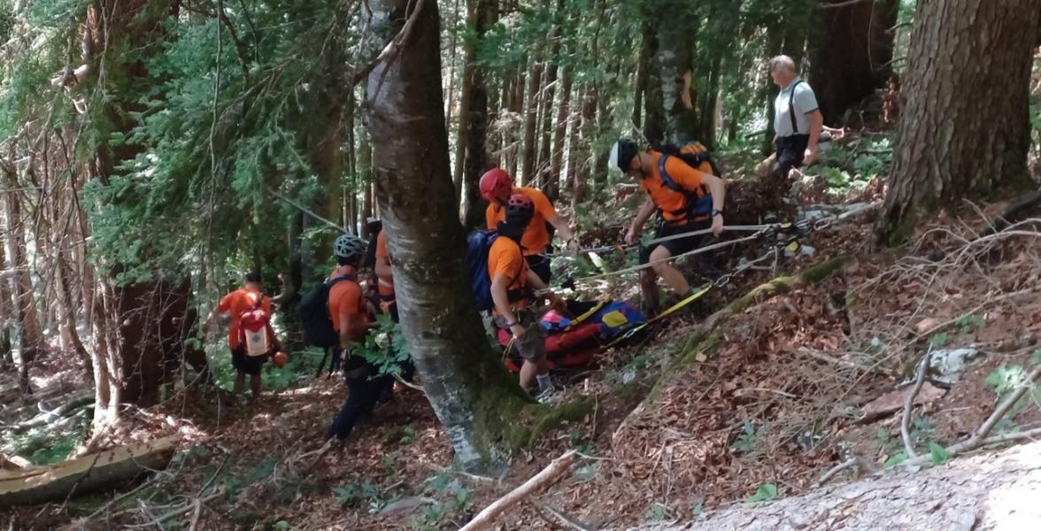 Ablassen des „verletzten“ Revierleiters in steilem Waldgelände mittels Seilzug durch die Bergrettung Lofer