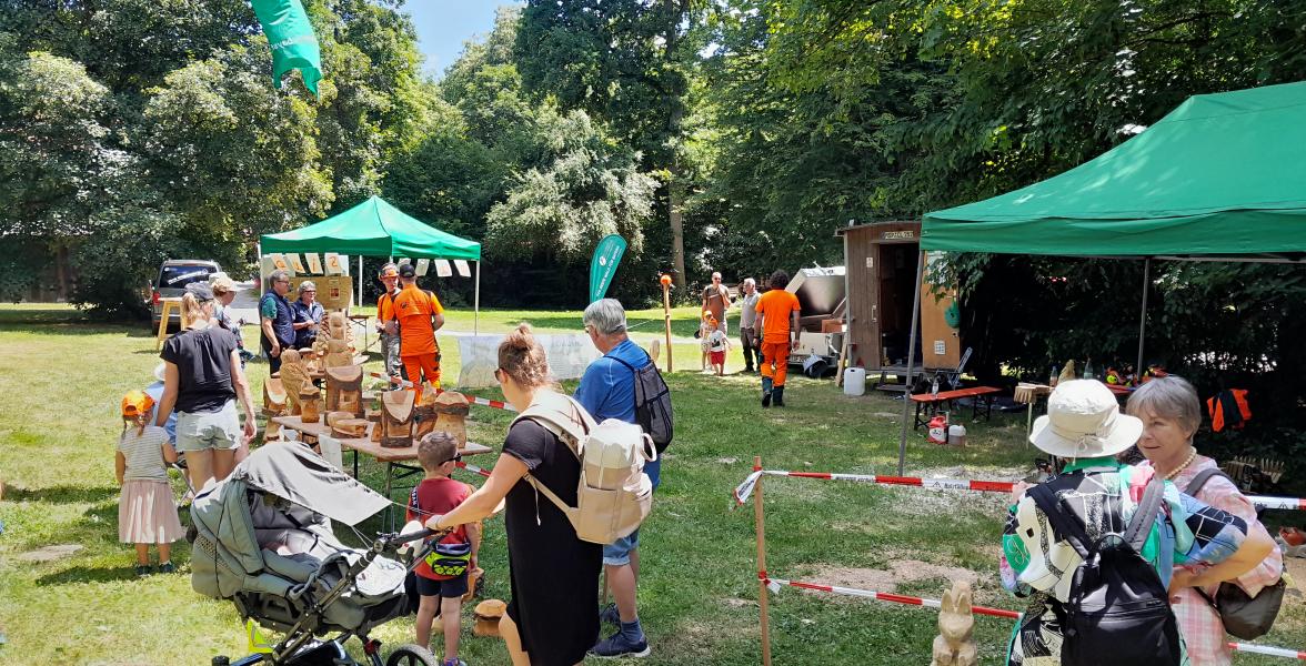 Buntes Treiben am Tag des offenen Waldes in Arnstein: Viele Menschen ratschen und entspannen um die Pavillons mit Stationen