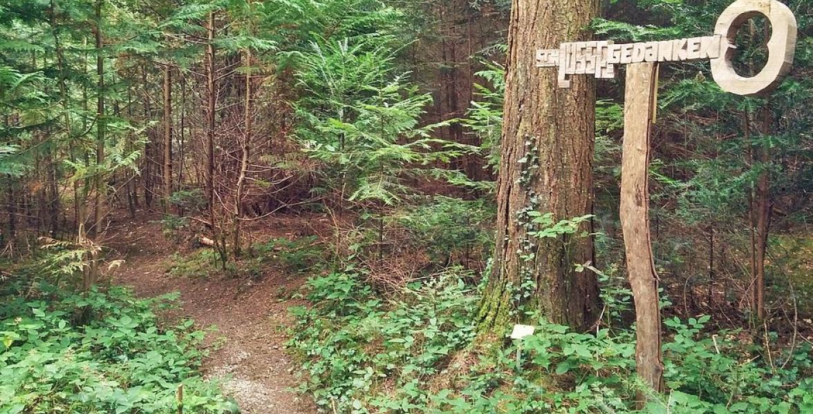 Tramppelpfad im Wald