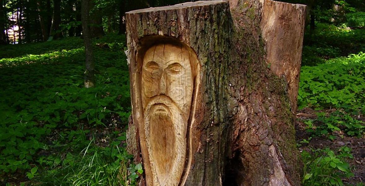 Baumstamm mit Einschnitzungen