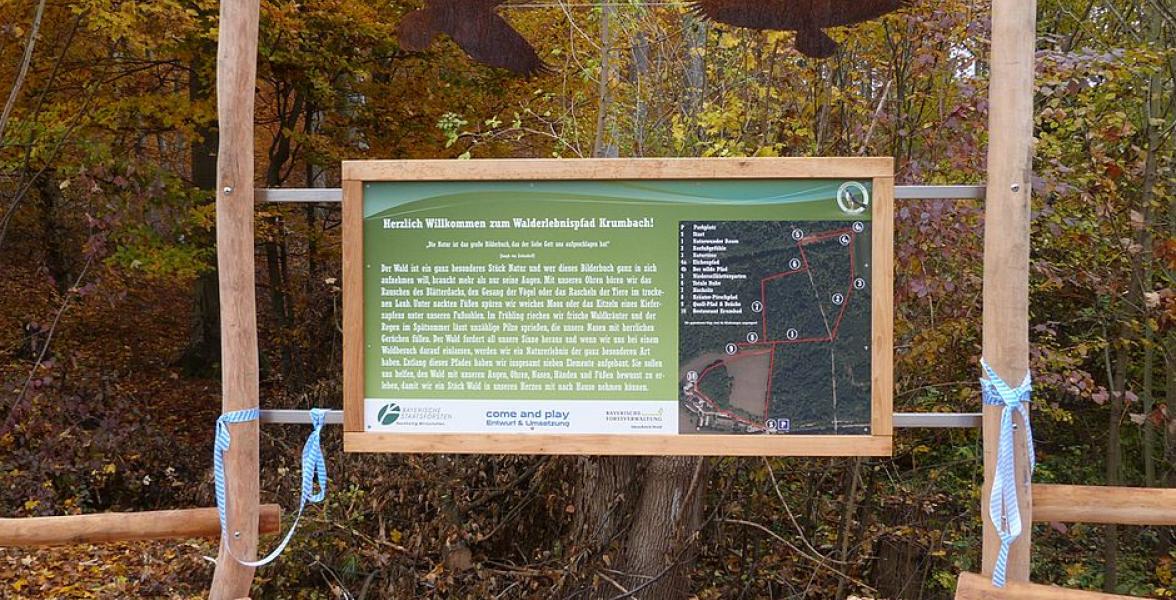 Infotafel im Wald