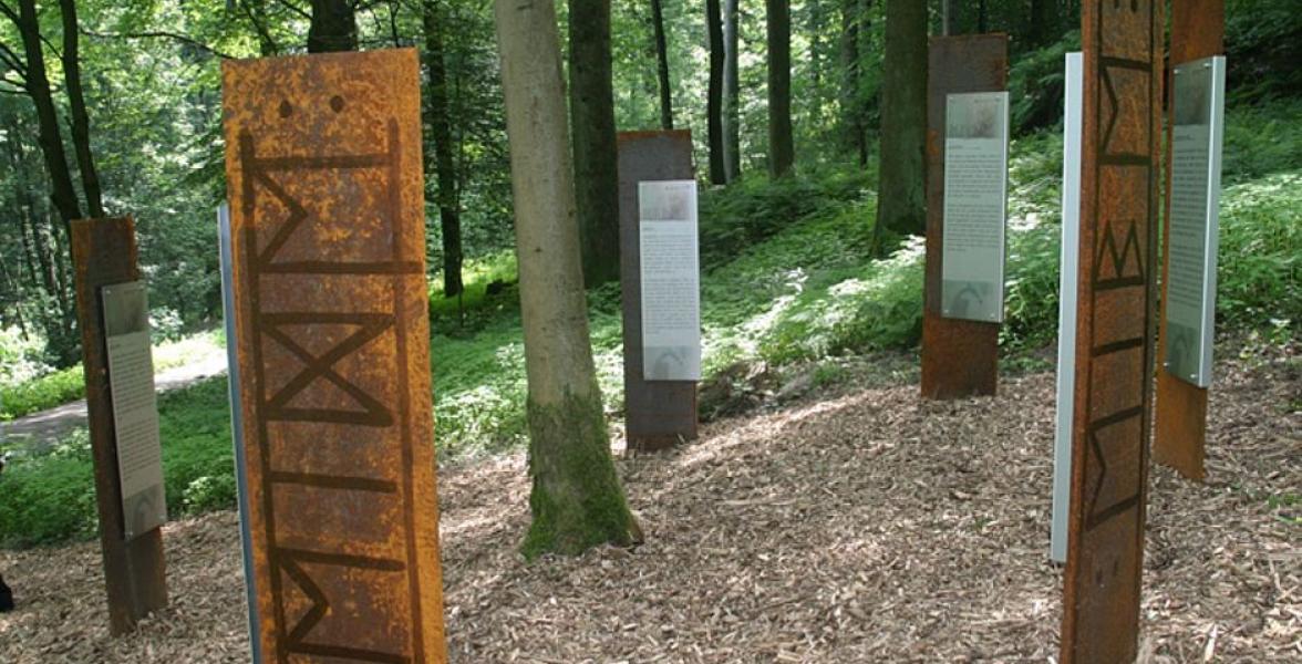 Stämme im Wald