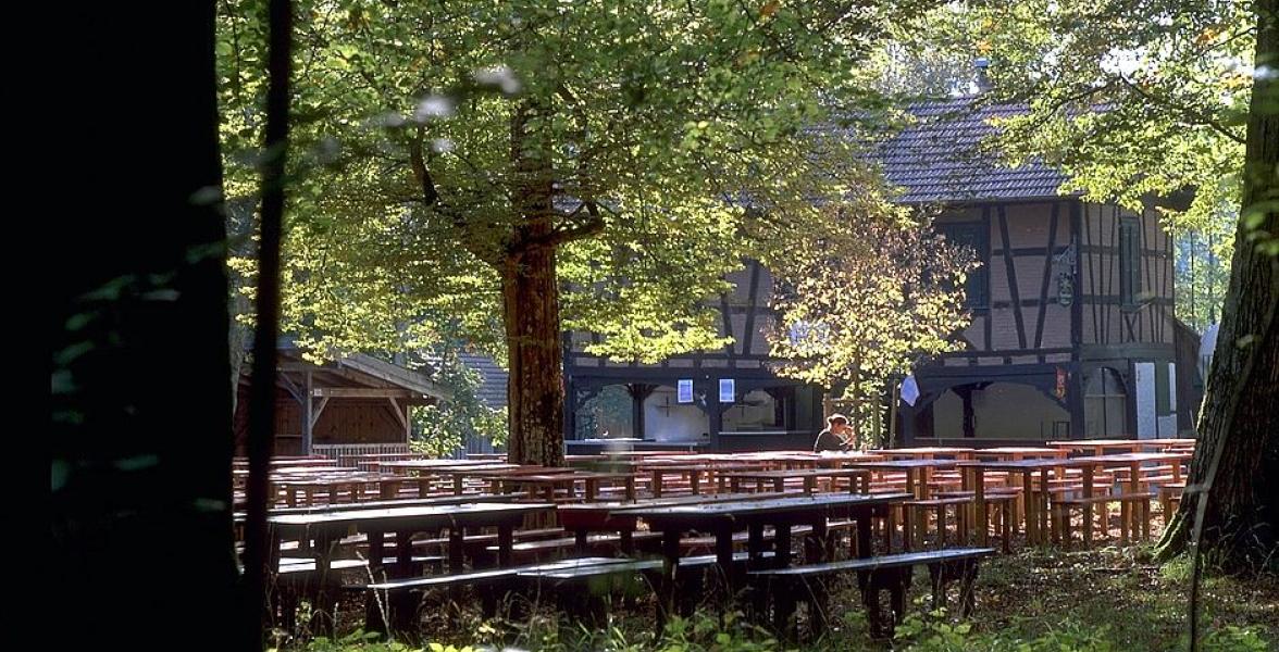 Hütte im Wald mit Sitzbänken