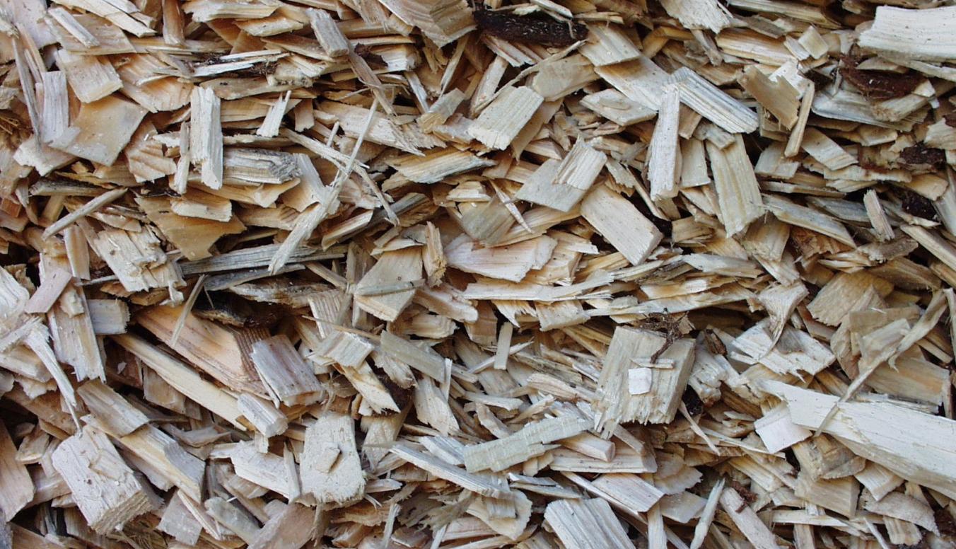 Energieholz – erneuerbare Energie für eine nachhaltige Zukunft