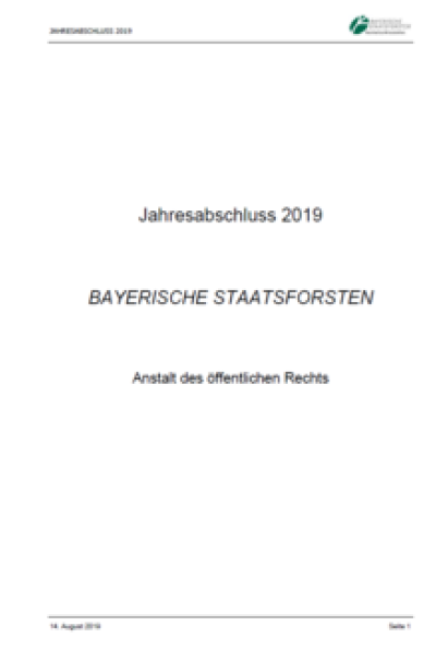 Jahresabschluss 2019
